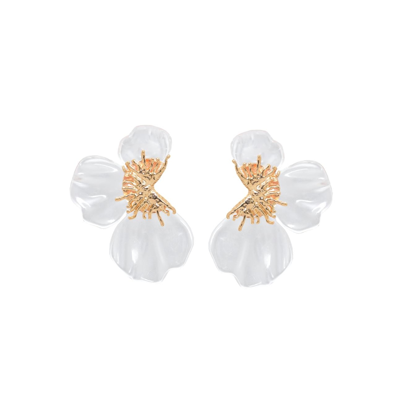 image_cd29b73a-1704-471b-9d5e-eac4eae74fd5