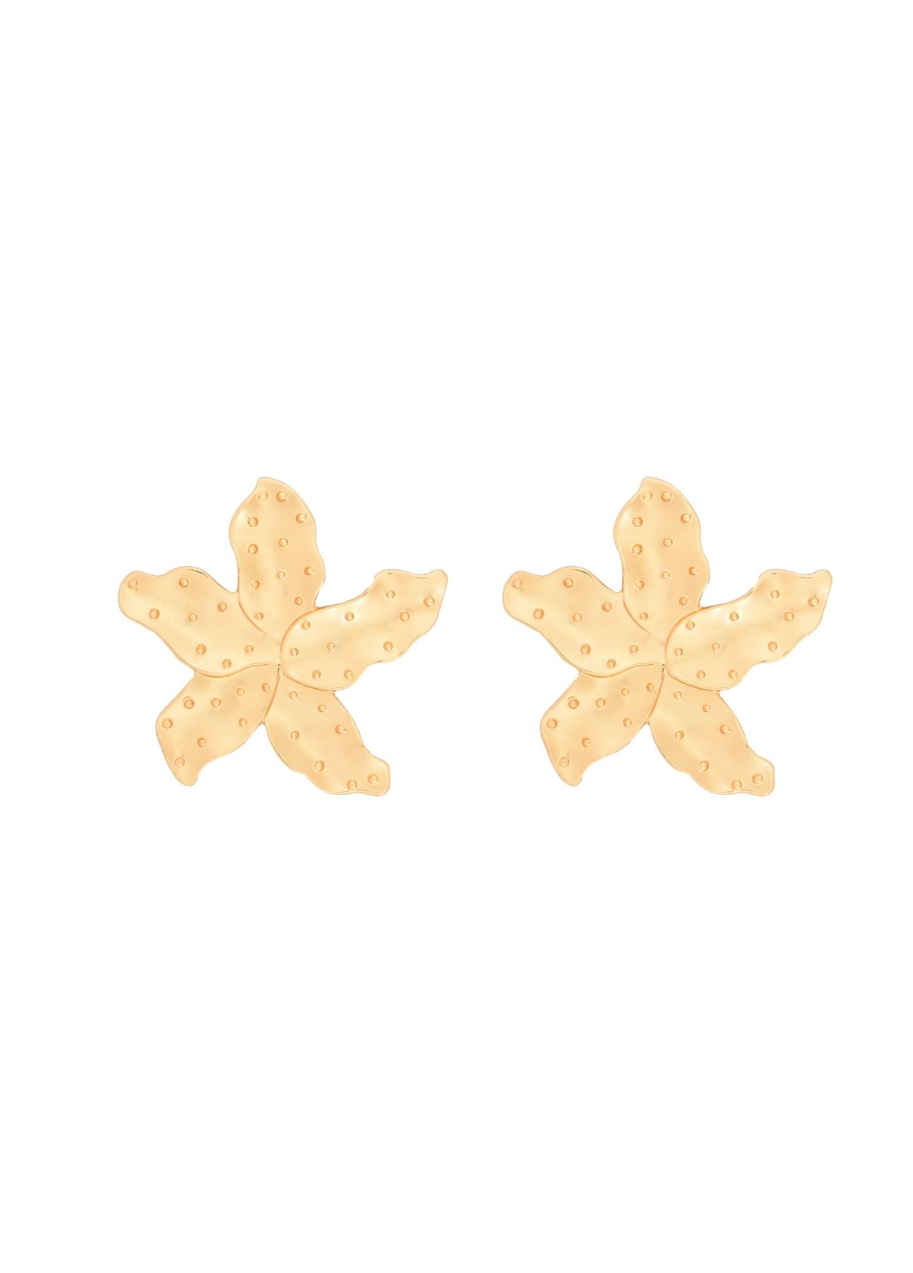 image_2bb7eac7-1781-4bbf-bbb5-13cb42c7fe81