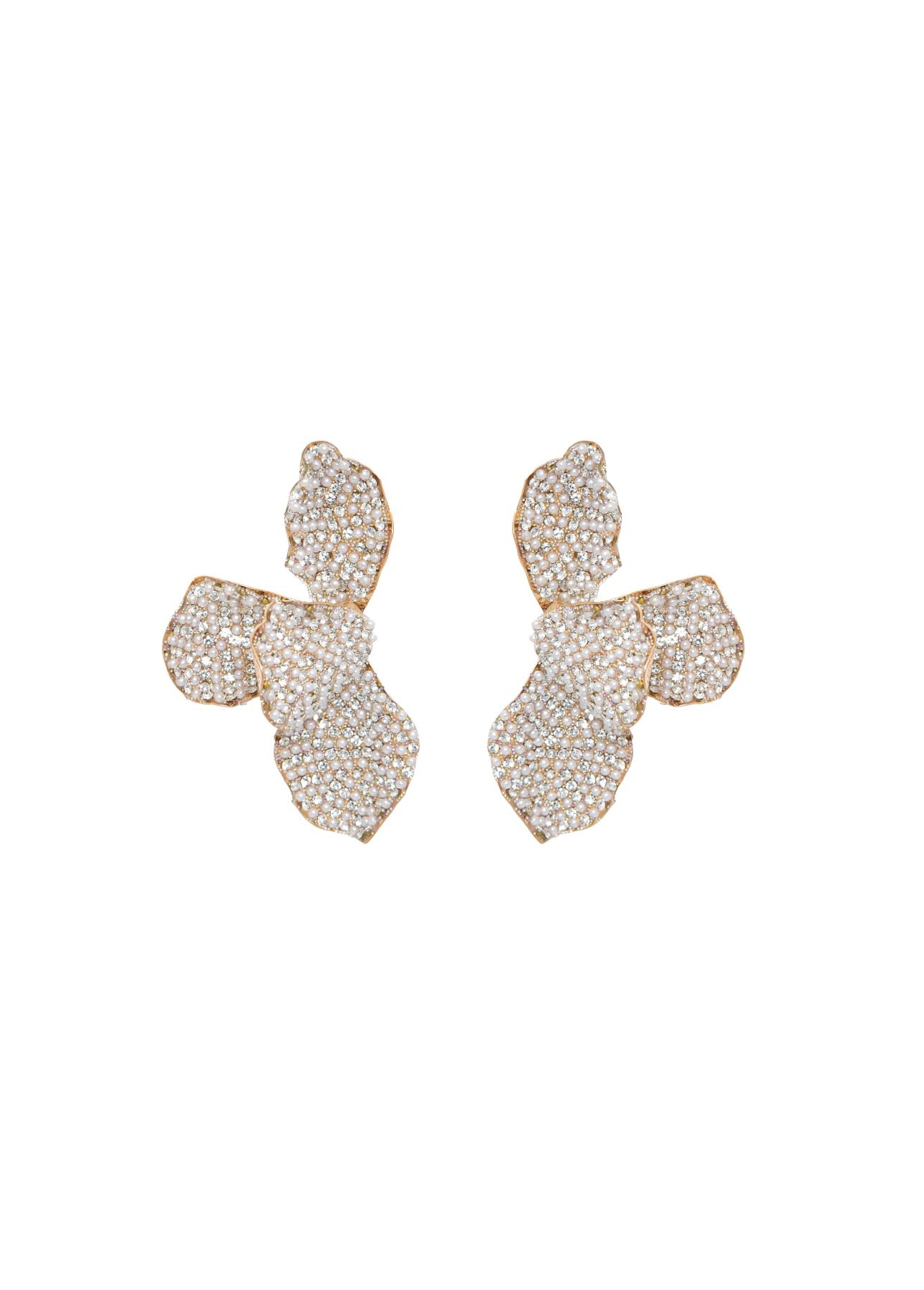 image_ebec4442-3adf-4151-8bed-116f269c5272