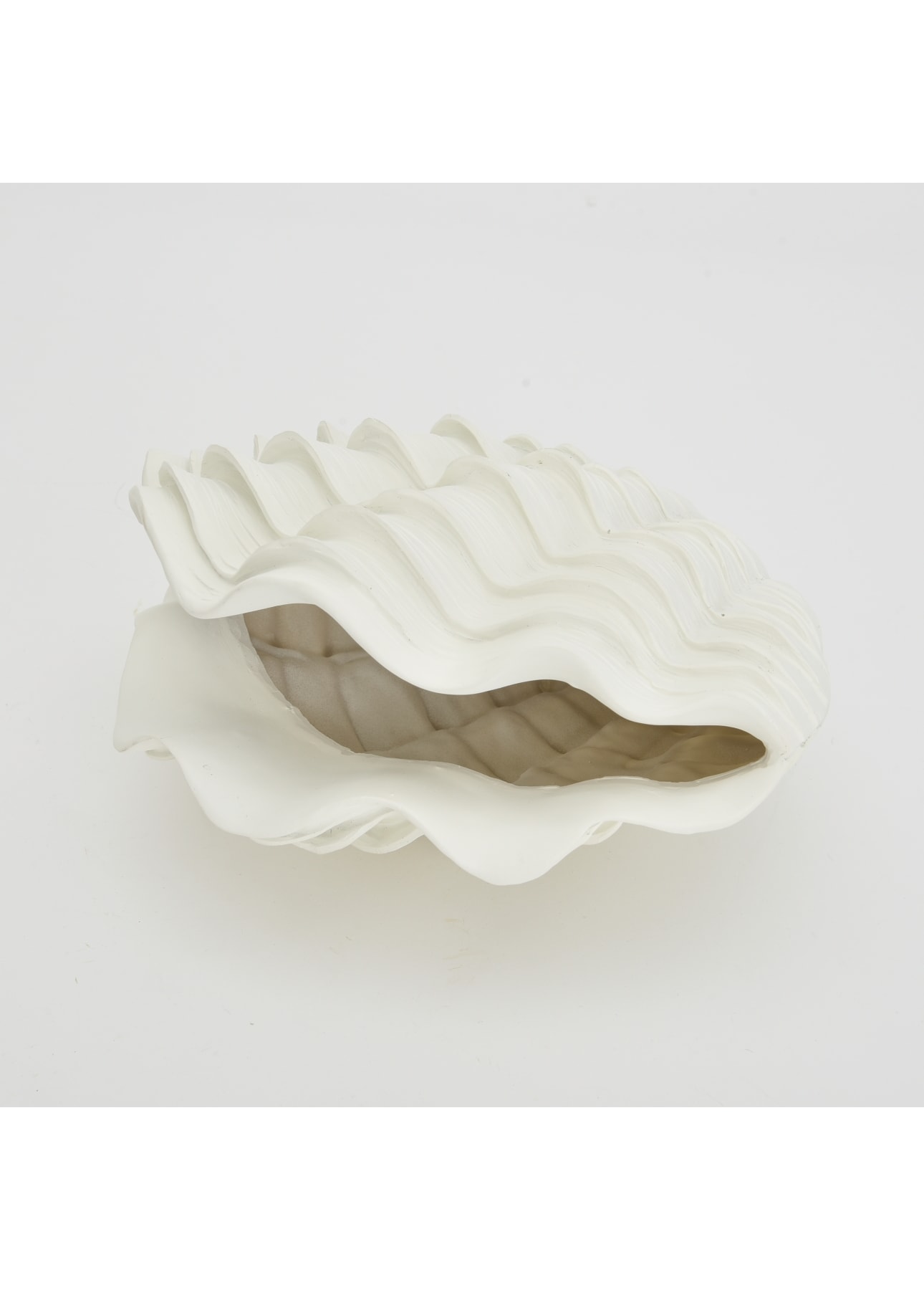 image_aabe7423-be0e-4579-8338-6d8b017d9c33