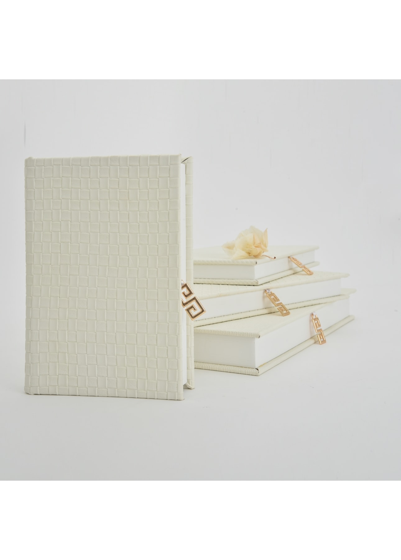 image_19c921b9-588b-43f0-a759-66aaa1246f7b