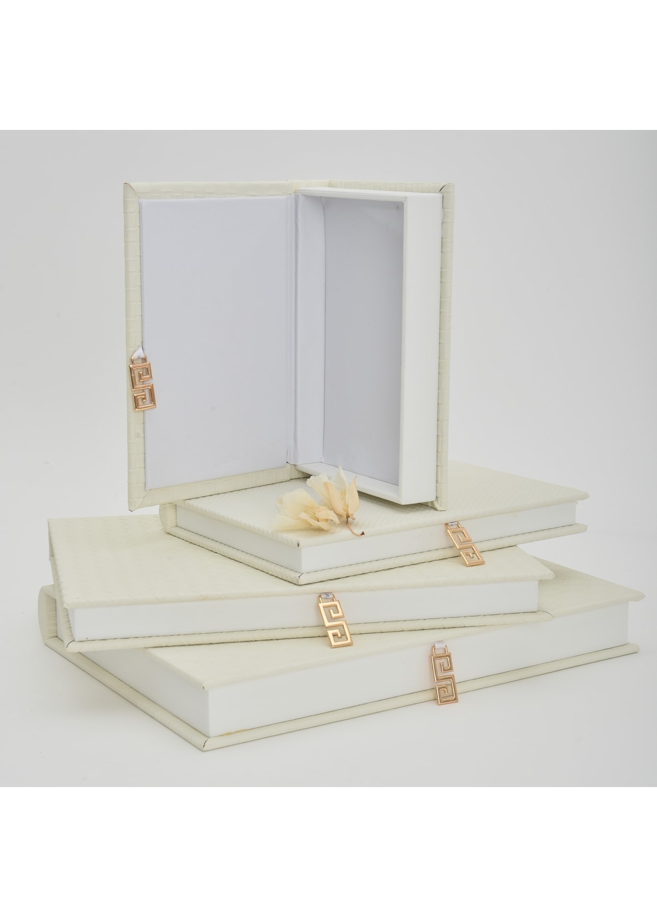 image_bfce76ab-3e04-45c2-a612-3a4bb81c3819