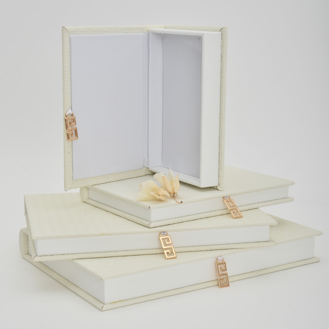 image_7f4466a9-f443-49f5-b31c-a44ed84f9ea0