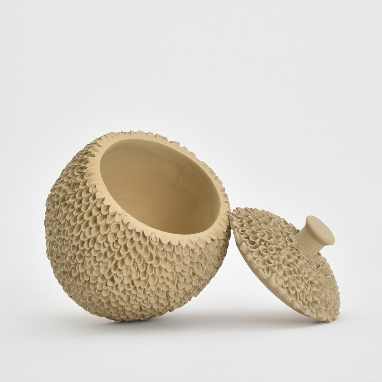 image_b9c5603b-0c73-4d8d-a69d-ceb5e1ac2079