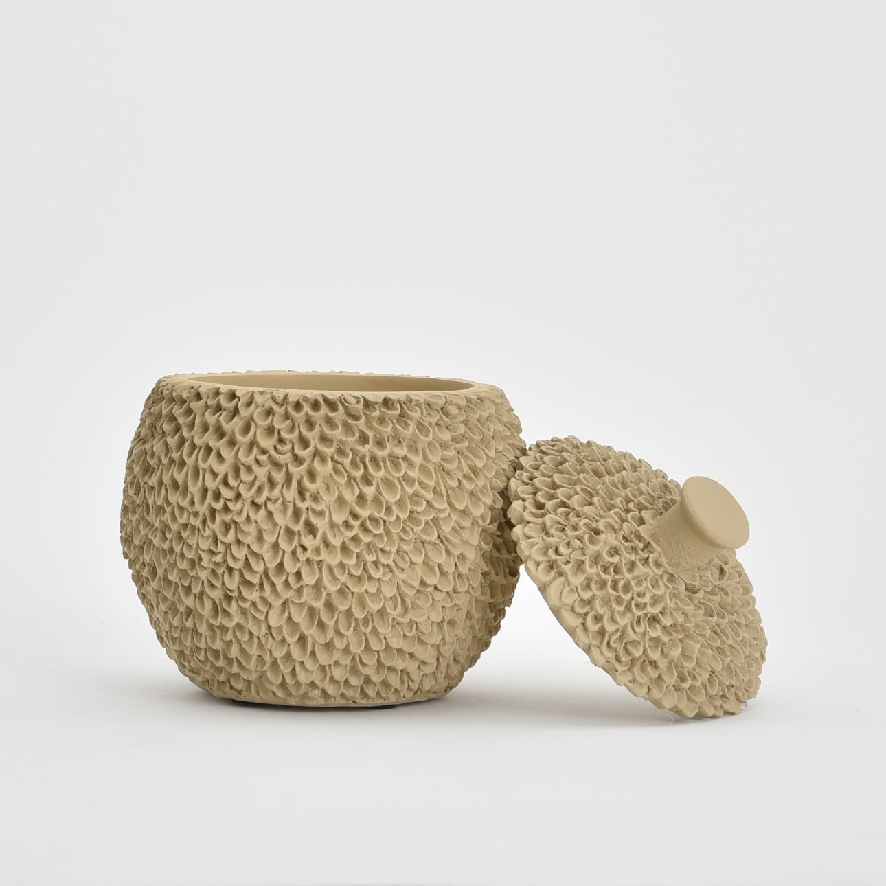 image_95b1d84c-9a5c-4b5e-aa43-b61cefff5735