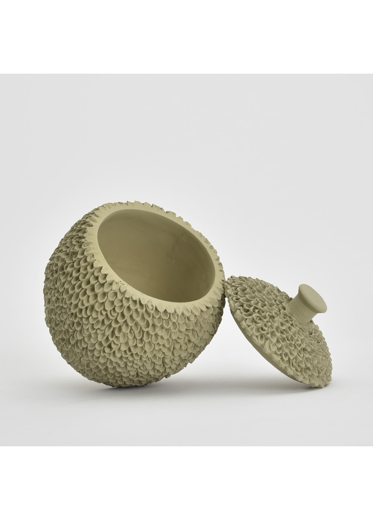 image_4cefa092-5c35-4eca-ab0a-0560d12ce74a